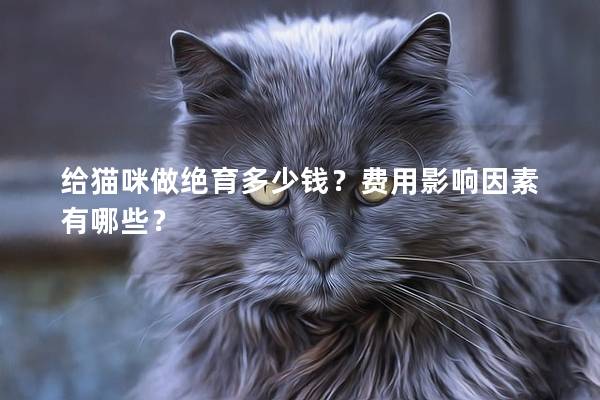 给猫咪做绝育多少钱？费用影响因素有哪些？