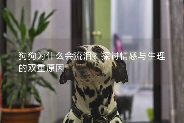 狗狗为什么会流泪？探讨情感与生理的双重原因