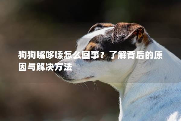 狗狗嘴哆嗦怎么回事？了解背后的原因与解决方法