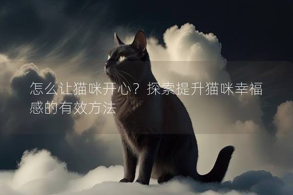 怎么让猫咪开心？探索提升猫咪幸福感的有效方法