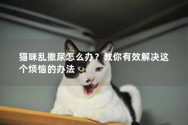 猫咪乱撒尿怎么办？教你有效解决这个烦恼的办法