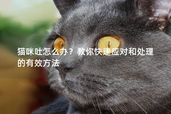 猫咪吐怎么办？教你快速应对和处理的有效方法