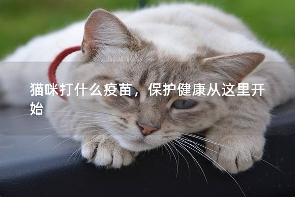 猫咪打什么疫苗,保护健康从这里开始