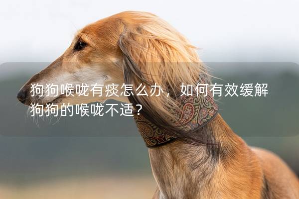 狗狗喉咙有痰怎么办，如何有效缓解狗狗的喉咙不适？