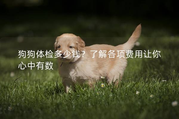 狗狗体检多少钱？了解各项费用让你心中有数