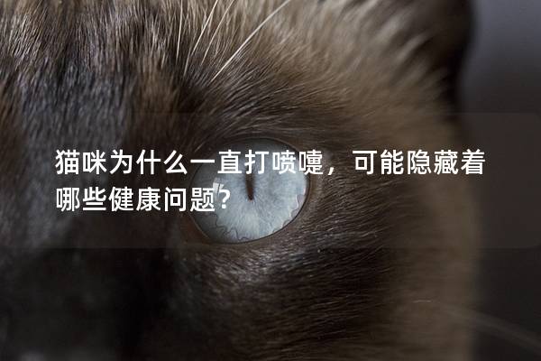 猫咪为什么一直打喷嚏，可能隐藏着哪些健康问题？