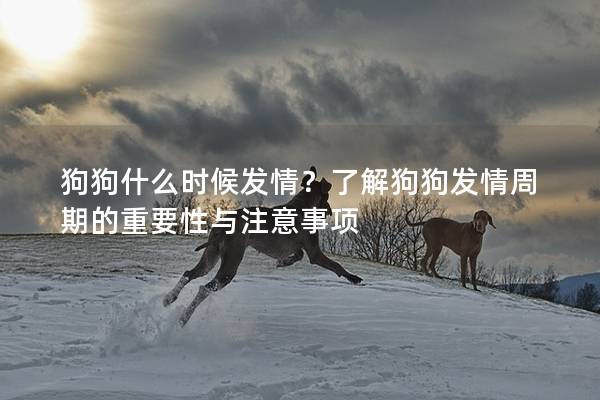 狗狗什么时候发情？了解狗狗发情周期的重要性与注意事项