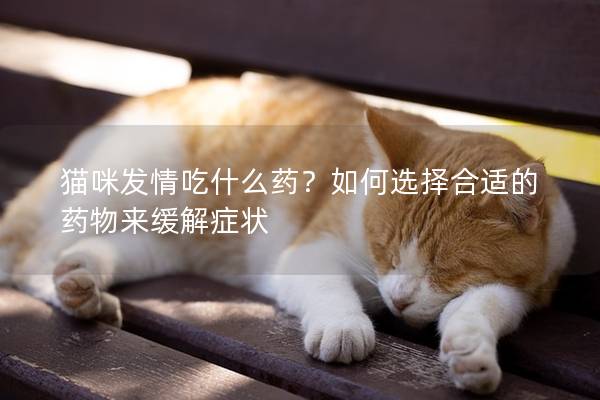 猫咪发情吃什么药？如何选择合适的药物来缓解症状