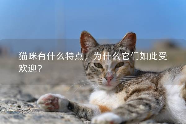 猫咪有什么特点，为什么它们如此受欢迎？