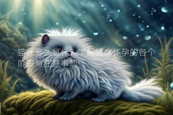 猫咪多久显怀？了解猫咪怀孕的各个阶段与注意事项