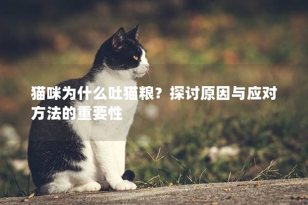 猫咪为什么吐猫粮?探讨原因与应对方法的重要性