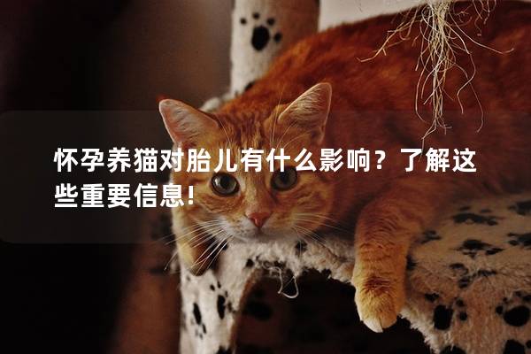 怀孕养猫对胎儿有什么影响？了解这些重要信息!