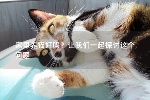 家里养猫好吗？让我们一起探讨这个问题