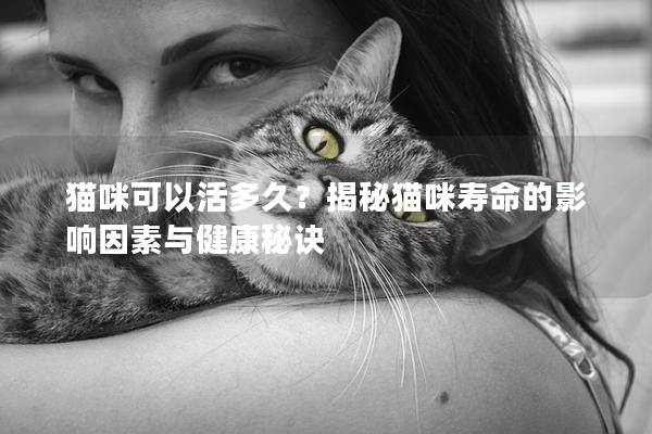 猫咪可以活多久？揭秘猫咪寿命的影响因素与健康秘诀