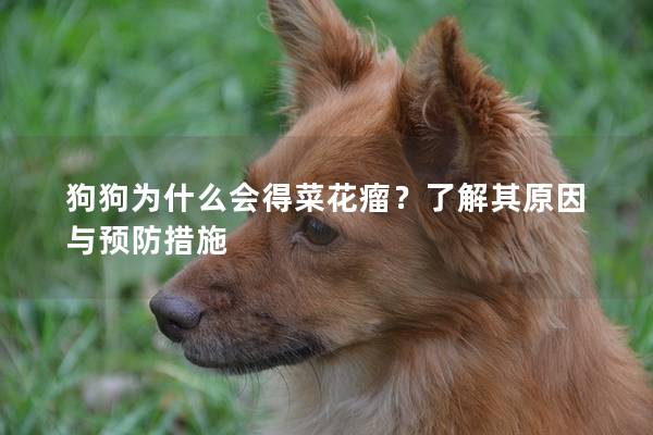 狗狗为什么会得菜花瘤？了解其原因与预防措施