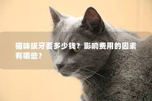 猫咪拔牙要多少钱？影响费用的因素有哪些？