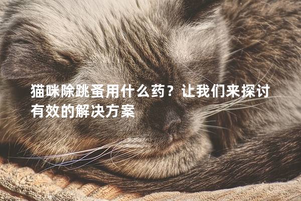 猫咪除跳蚤用什么药？让我们来探讨有效的解决方案