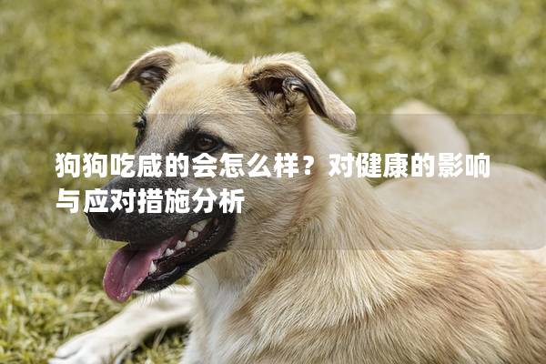 狗狗吃咸的会怎么样？对健康的影响与应对措施分析