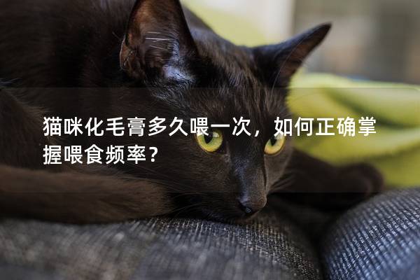 猫咪化毛膏多久喂一次，如何正确掌握喂食频率？