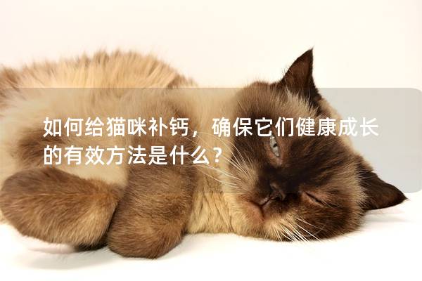 如何给猫咪补钙，确保它们健康成长的有效方法是什么？