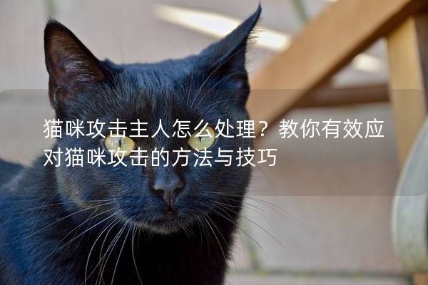 猫咪攻击主人怎么处理？教你有效应对猫咪攻击的方法与技巧