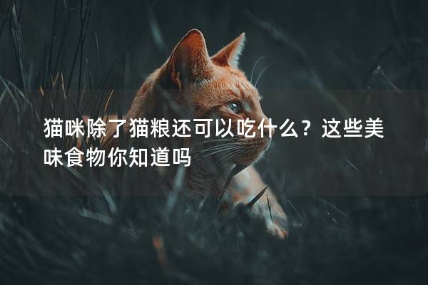 猫咪除了猫粮还可以吃什么？这些美味食物你知道吗