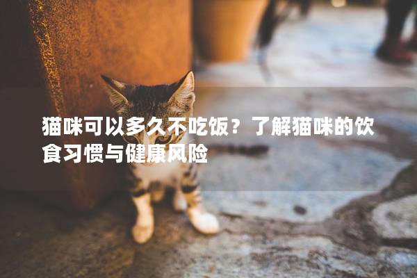 猫咪可以多久不吃饭？了解猫咪的饮食习惯与健康风险