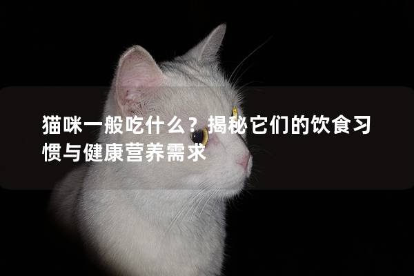 猫咪一般吃什么？揭秘它们的饮食习惯与健康营养需求