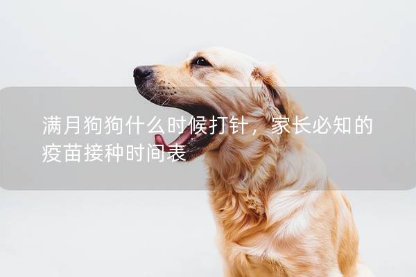 满月狗狗什么时候打针，家长必知的疫苗接种时间表