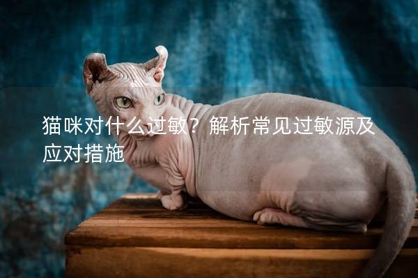 猫咪对什么过敏？解析常见过敏源及应对措施