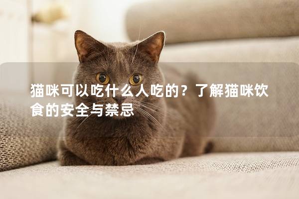 猫咪可以吃什么人吃的？了解猫咪饮食的安全与禁忌