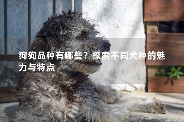 狗狗品种有哪些？探索不同犬种的魅力与特点