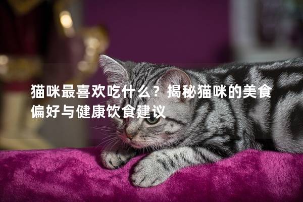 猫咪最喜欢吃什么？揭秘猫咪的美食偏好与健康饮食建议