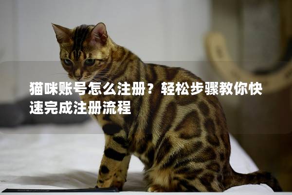 猫咪账号怎么注册？轻松步骤教你快速完成注册流程