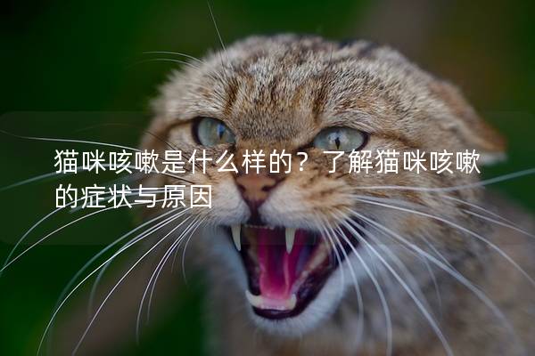 猫咪咳嗽是什么样的？了解猫咪咳嗽的症状与原因