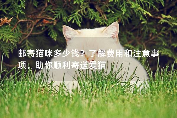 邮寄猫咪多少钱？了解费用和注意事项，助你顺利寄送爱猫