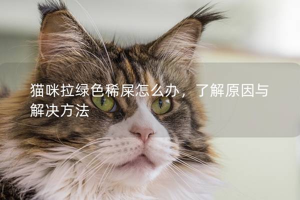 猫咪拉绿色稀屎怎么办，了解原因与解决方法