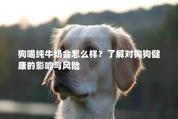 狗喝纯牛奶会怎么样？了解对狗狗健康的影响与风险