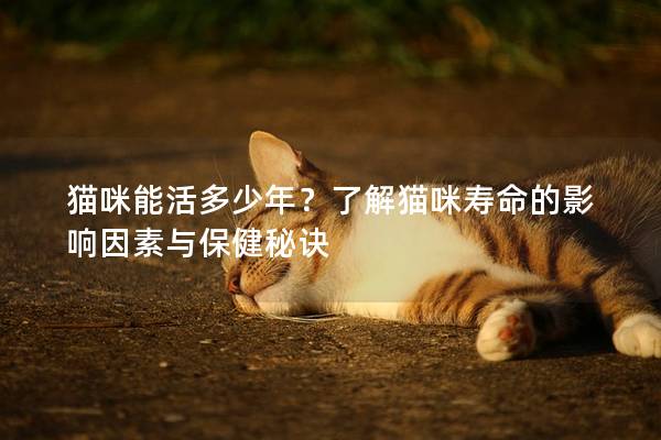 猫咪能活多少年？了解猫咪寿命的影响因素与保健秘诀