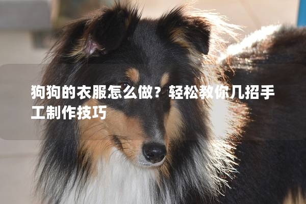 狗狗的衣服怎么做？轻松教你几招手工制作技巧