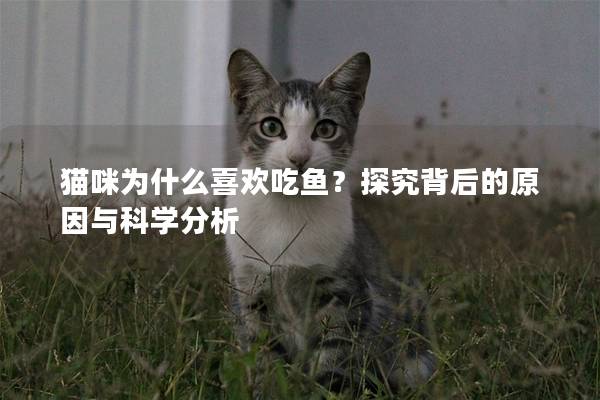 猫咪为什么喜欢吃鱼？探究背后的原因与科学分析