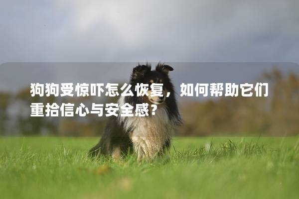 狗狗受惊吓怎么恢复，如何帮助它们重拾信心与安全感？