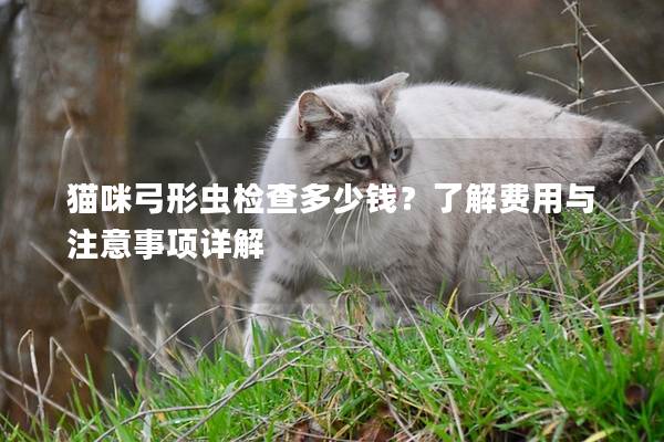 猫咪弓形虫检查多少钱？了解费用与注意事项详解