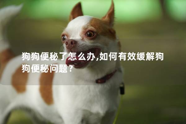 狗狗便秘了怎么办,如何有效缓解狗狗便秘问题？