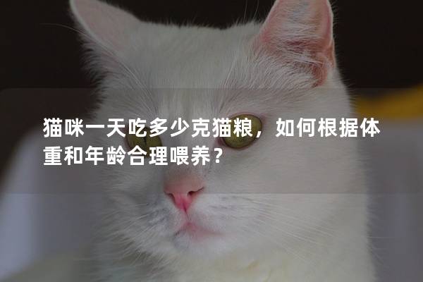 猫咪一天吃多少克猫粮，如何根据体重和年龄合理喂养？