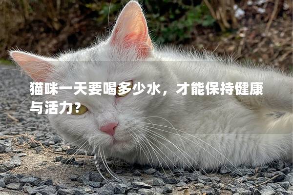 猫咪一天要喝多少水，才能保持健康与活力？