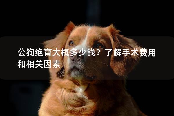 公狗绝育大概多少钱？了解手术费用和相关因素