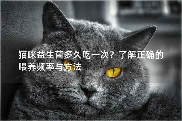 猫咪益生菌多久吃一次？了解正确的喂养频率与方法