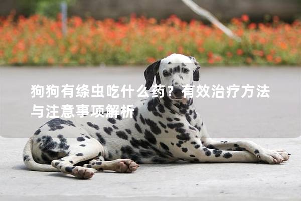 狗狗有绦虫吃什么药？有效治疗方法与注意事项解析