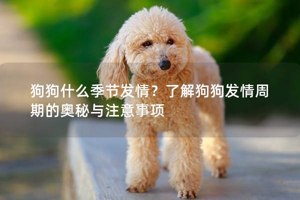 狗狗什么季节发情？了解狗狗发情周期的奥秘与注意事项